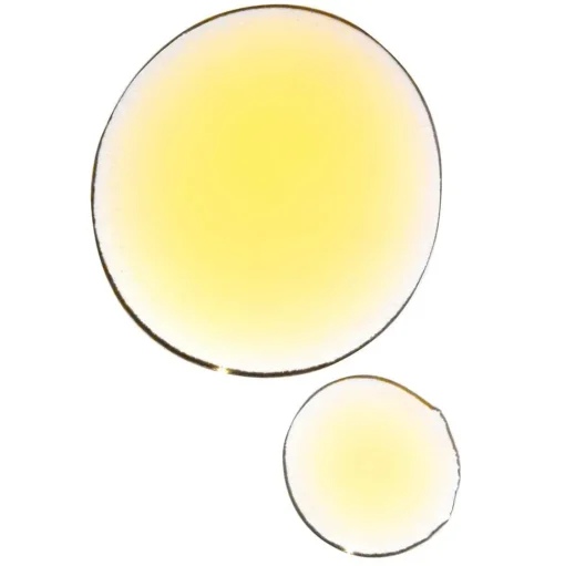 Absolute Anti Aging Face Oil - regenerierendes Gesichtsöl