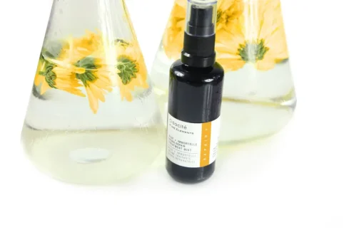 Aloe + Immortelle Hydra-Repair Treatment Mist - Toner in Form eines sanften Sprühnebels