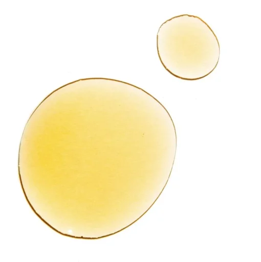 Beauty Boosting Day Face Oil - Gesichtsöl für alle Hauttypen | SALE