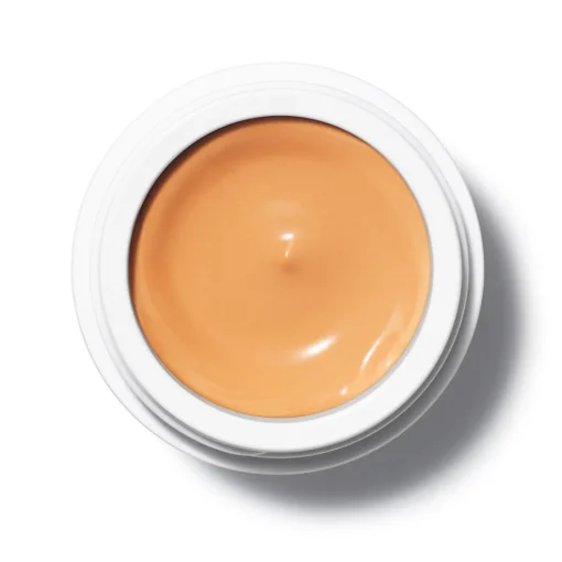 Beauty Evolution SKIN ENHANCER Satin Finish - MANASI 7 Foundation/Grundierung