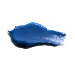 Blue Legume Hydra -Anti Aging-Maske mit Reishi, Shiitake und Mikroalgen