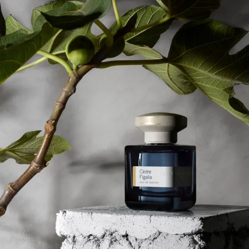 CÈDRE FIGALIA - Unisex Eau de Parfum | ATELIER MATERI