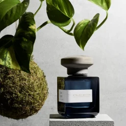 CÈDRE FIGALIA - Unisex Eau de Parfum | ATELIER MATERI