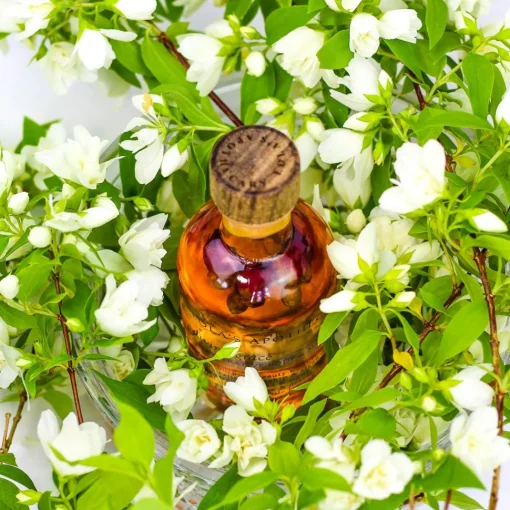 DIVINE GRACE - Regenerative Body & Massage Oil/ Körperöl | LOLA'S APOTHECARY