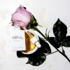 holi (oil) Refining Ageless Face Serum - Anti Aging-Serum mit Calcium und Vitamin C