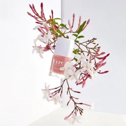 Kure Bazaar Nagellack - Dolce