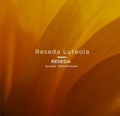 Le Nude Tinctorial ARZICA No 036 - LE ROUGE FRANCAIS - Nude-Lippenstift