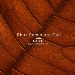 Le Rose Tinctorial LICANDRE No 040 - LE ROUGE FRANCAIS Lippenstift