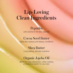 Liplights CHAMELEON | RMS Beauty - Cream Lipgloss