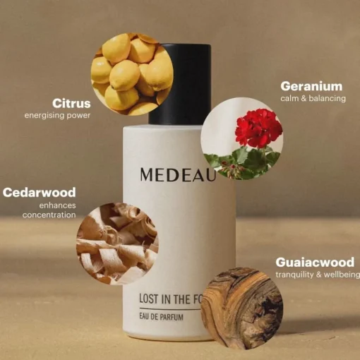 LOST IN THE FOREST - Parfum für Herren | MEDEAU