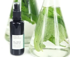 Mint + Green Tea Hydra-Purifying Treatment Mist - Toningspray mit Minze und Grünem Tee
