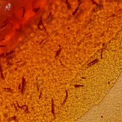 Resurfacing Saffron AHA Masque - AHA-Pflegemaske mit Safran und milden Fruchtsäuren