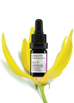 Ro+Y | Serum Konzentrat mit Hagebutte + Ylang-Ylang für die Behandlung intensiver Falten
