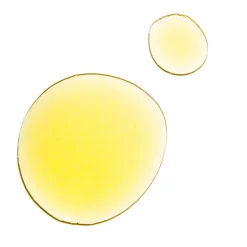 Santal Silk Body Oil - samtiges Körperöl