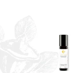 Secret Nomade | L'Odaïtès - SOS Roll-On