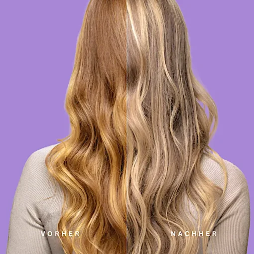 Silver Treatment (Healing Herbs) - kühle Nuancen und starke Pflege für blondes und weißes Haar