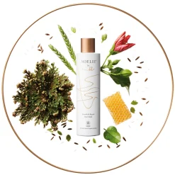 Smooth & Repair Hair Mask/Regenerierend & Nährstoffreich