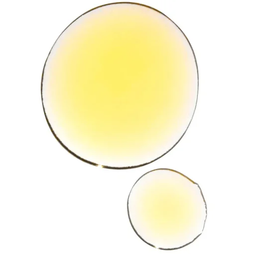 Total Rejuvenation Night Face Oil - regenerierendes Nachtserum & Gesichtsöl